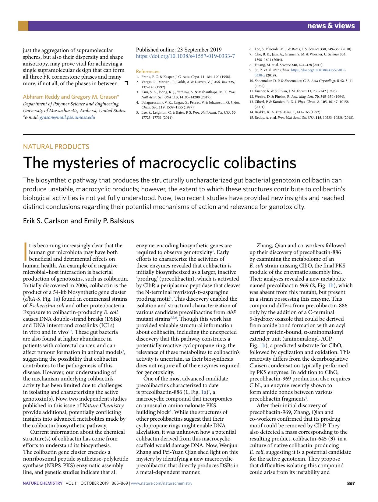A cornerstone of complex crystals by Abhiram Reddy