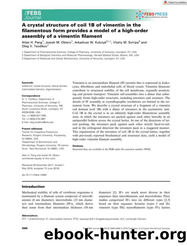 A crystal structure of coil 1B of vimentin in the filamentous form provides a model of a highâorder assembly of a vimentin filament by Unknown
