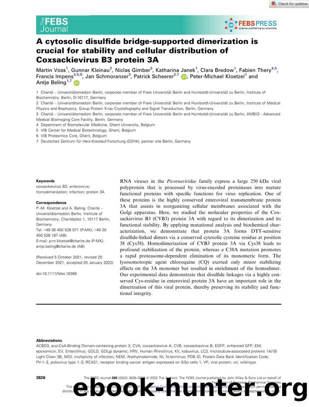 A cytosolic disulfide bridgeâsupported dimerization is crucial for stability and cellular distribution of Coxsackievirus B3 protein 3A by Unknown