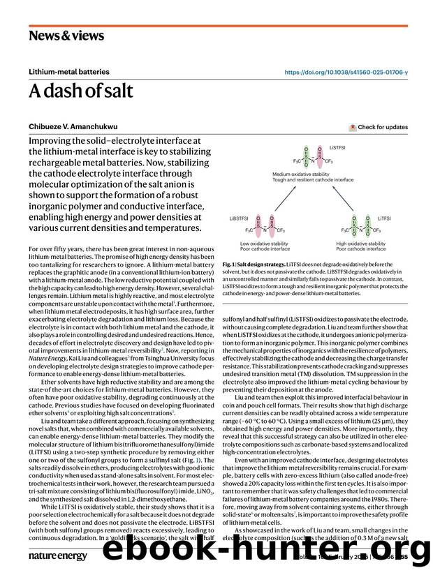 A dash of salt by Chibueze V. Amanchukwu