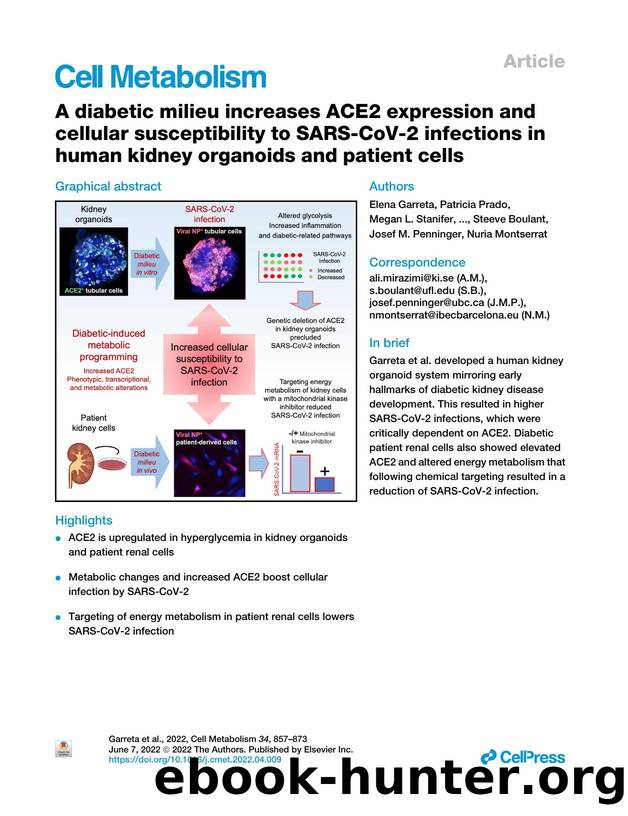 A diabetic milieu increases ACE2 expression and cellular susceptibility to SARS-CoV-2 infections in human kidney organoids and patient cells by unknow