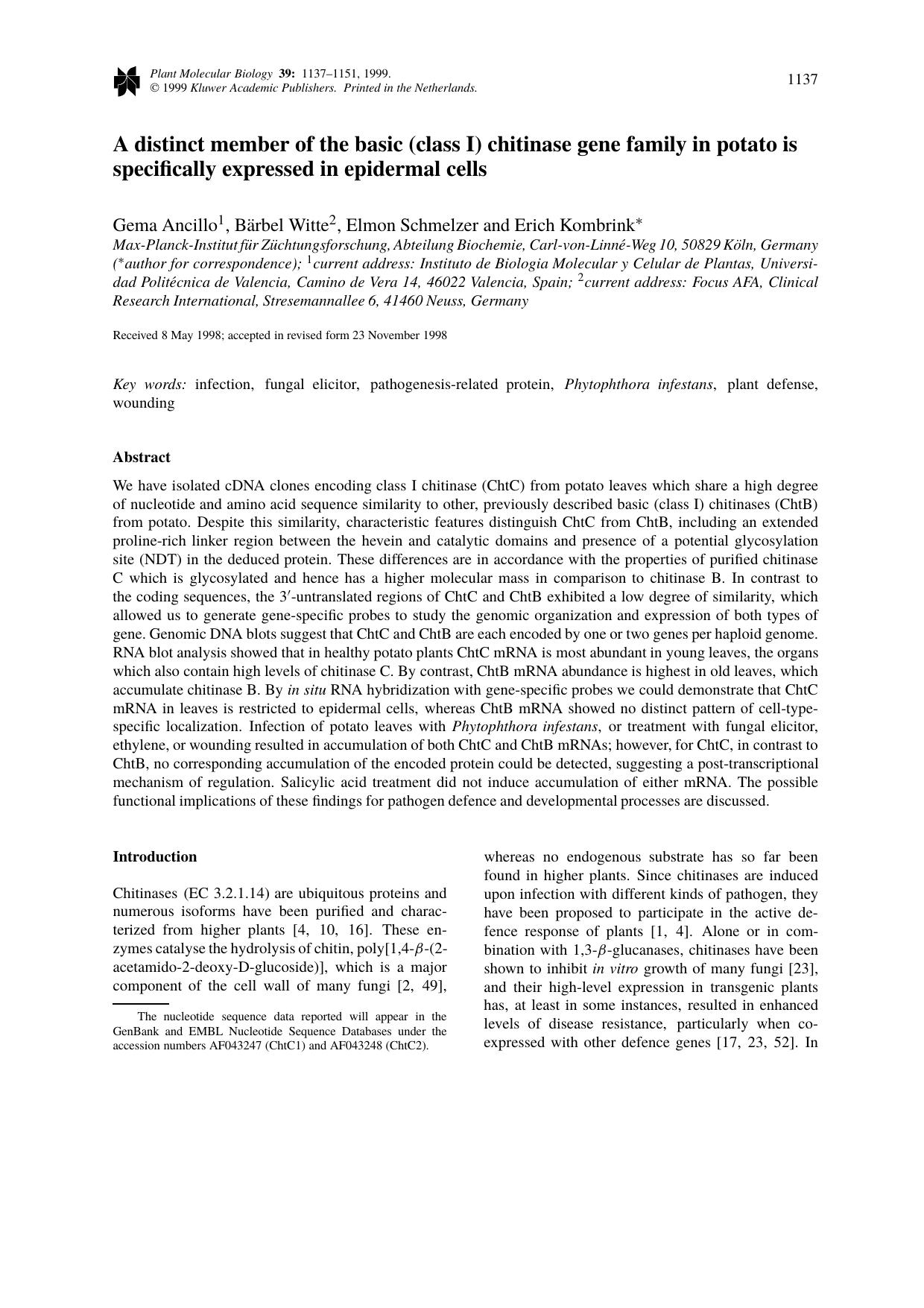 A distinct member of the basic (class I) chitinase gene family in potato is specifically expressed in epidermal cells by Unknown