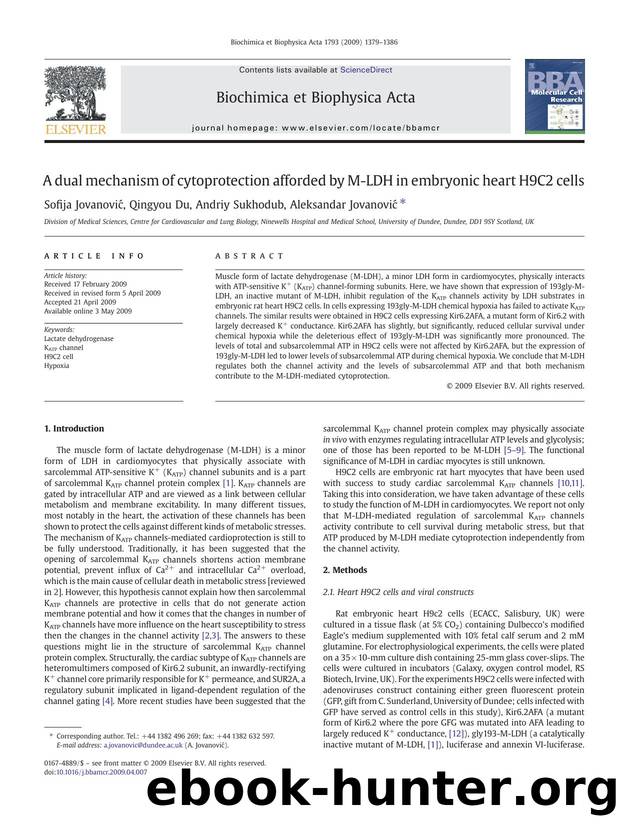 A dual mechanism of cytoprotection afforded by M-LDH in embryonic heart H9C2 cells by Sofija Jovanović; Qingyou Du; Andriy Sukhodub; Aleksandar Jovanović