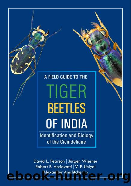 A field guide to the tiger beetles of India. Identification and biology of the Cicindelidae by David L. Pearson Jürgen Wiesner Robert E. Acciavatti V. P. Uniyal Alexander Anichtchenko