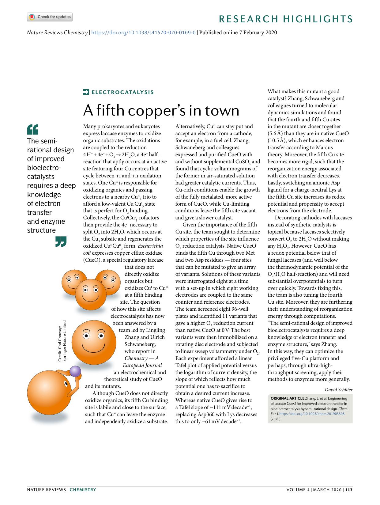 A fifth copperâs in town by David Schilter