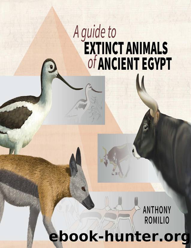 A guide to Extinct Animals of Ancient Egypt by Anthony Romilio