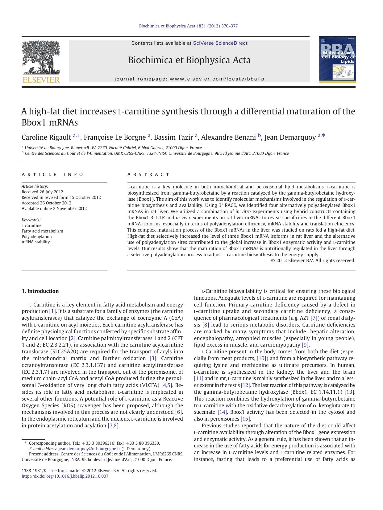 A high-fat diet increases l-carnitine synthesis through a differential maturation of the Bbox1 mRNAs by Caroline Rigault & Françoise Le Borgne & Bassim Tazir & Alexandre Benani & Jean Demarquoy