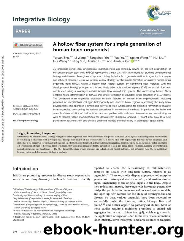 A hollow fiber system for simple generation of human brain organoids by unknow