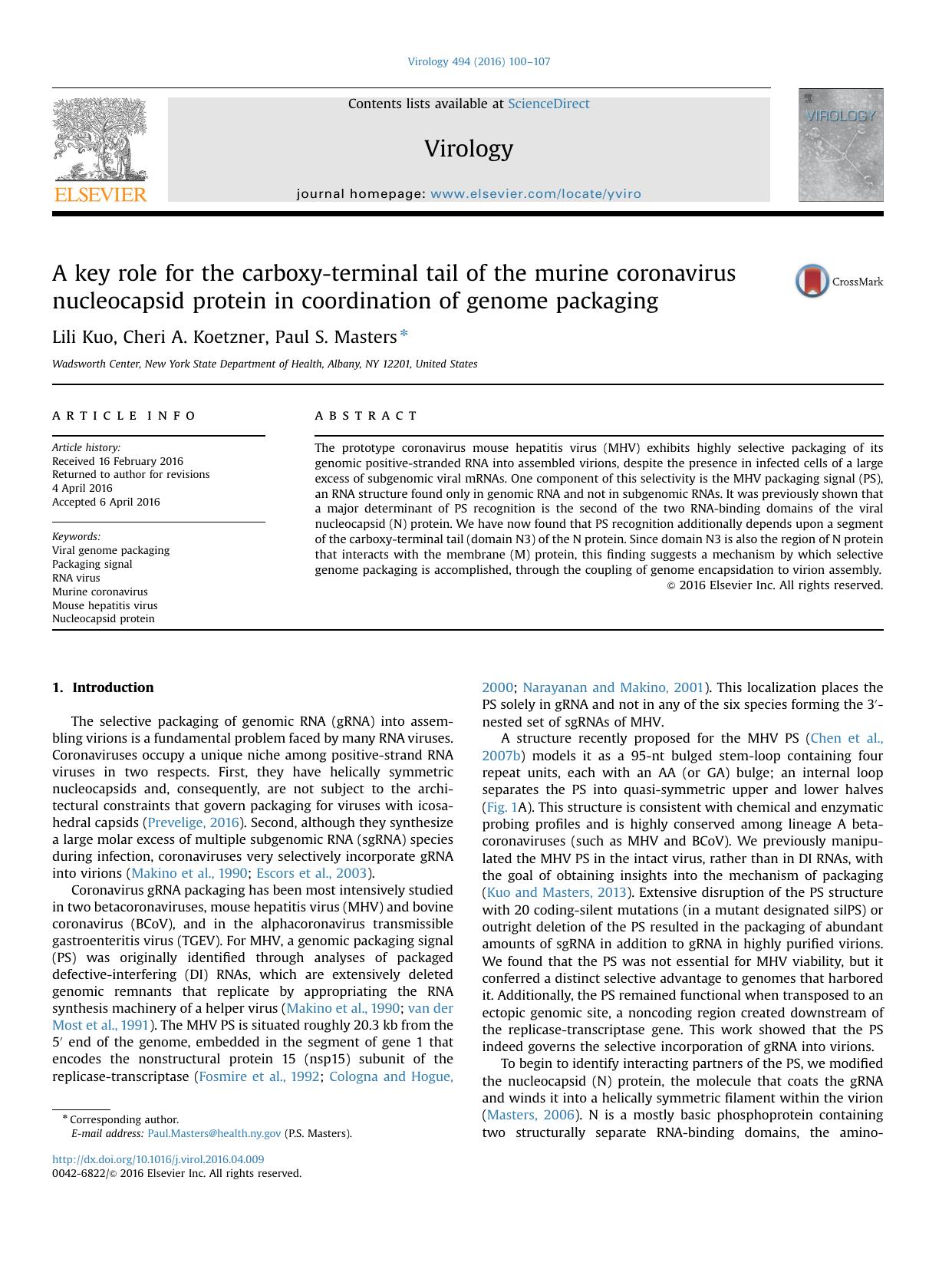 A key role for the carboxy-terminal tail of the murine coronavirus nucleocapsid protein in coordination of genome packaging by Lili Kuo & Cheri A. Koetzner & Paul S. Masters