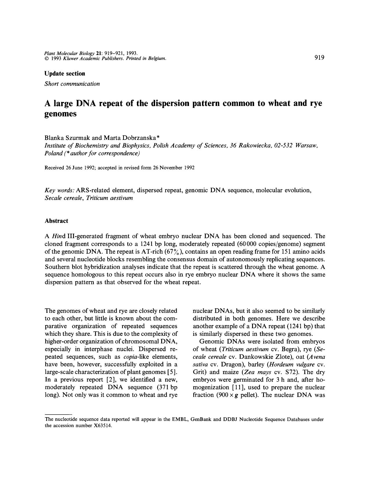 A large DNA repeat of the dispersion pattern common to wheat and rye genomes by Unknown
