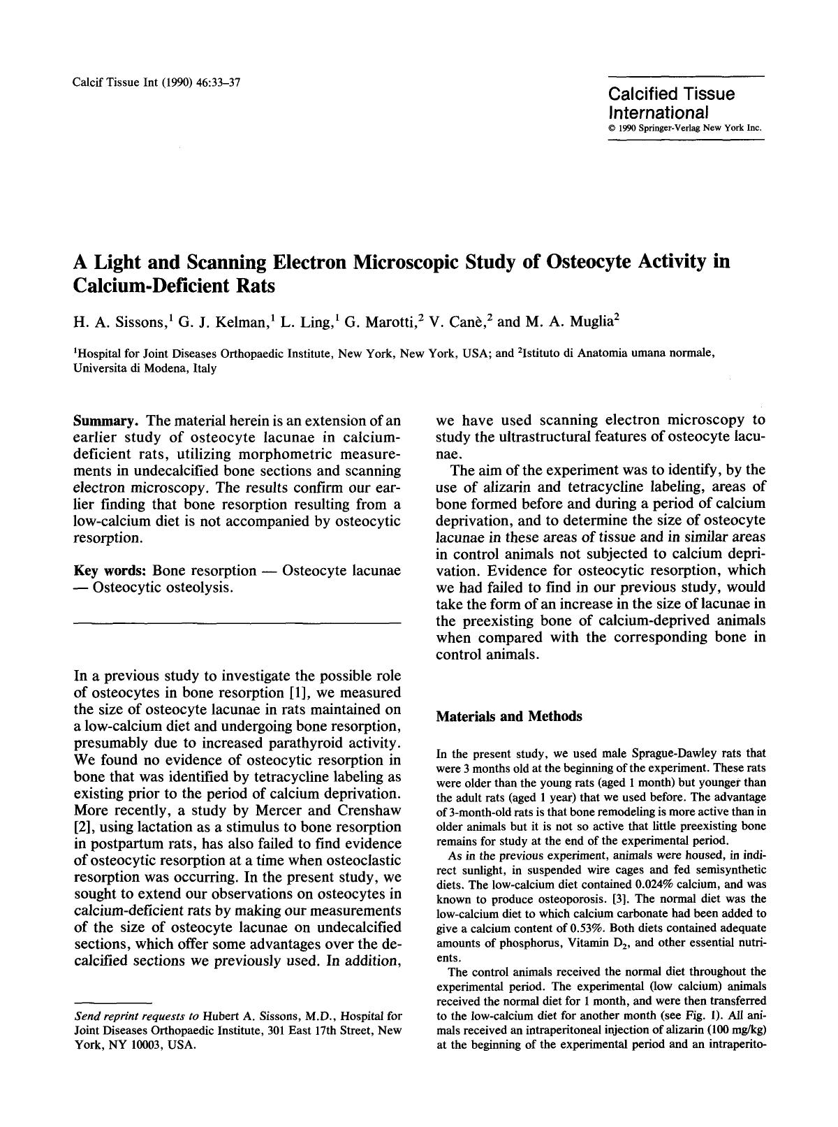 A light and scanning electron microscopic study of osteocyte activity in calcium-deficient rats by Unknown