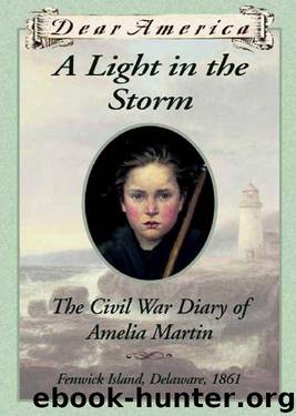 A light in the storm: the Civil War diary of Amelia Martin by Karen Hesse