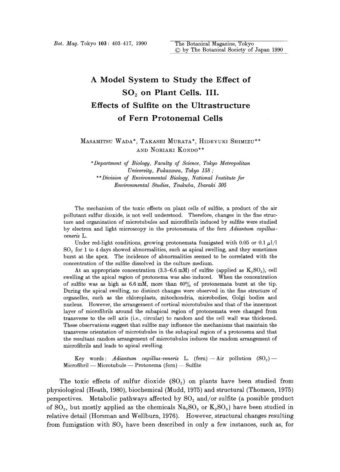 A model system to study the effect of SO <Subscript>2 <Subscript> on plant cells. III. Effects of sulfite on the ultrastructure of fern protonemal cells by Unknown