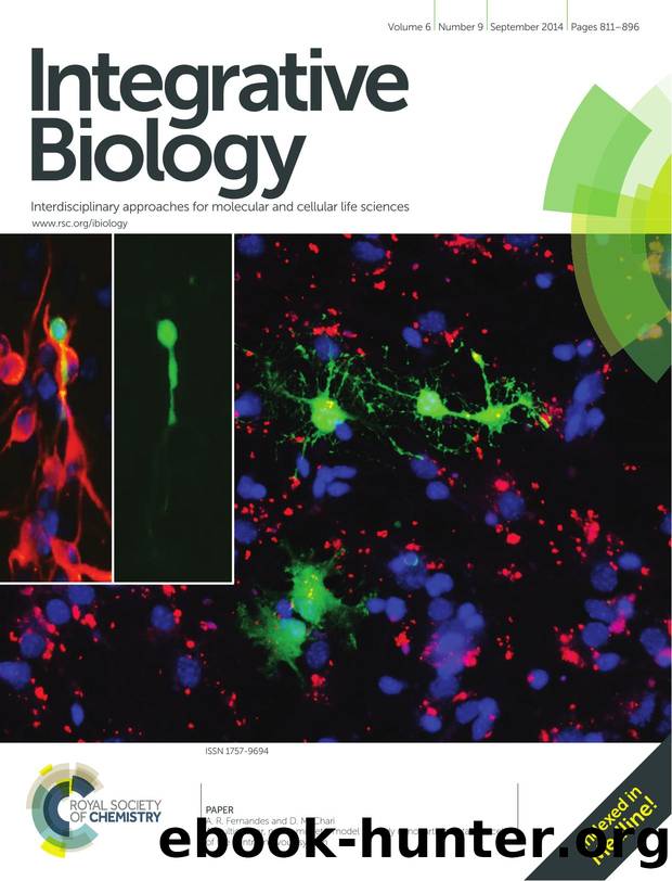 A multicellular, neuro-mimetic model to study nanoparticle uptake in cells of the central nervous system by A. R. Fernandes & D. M. Chari