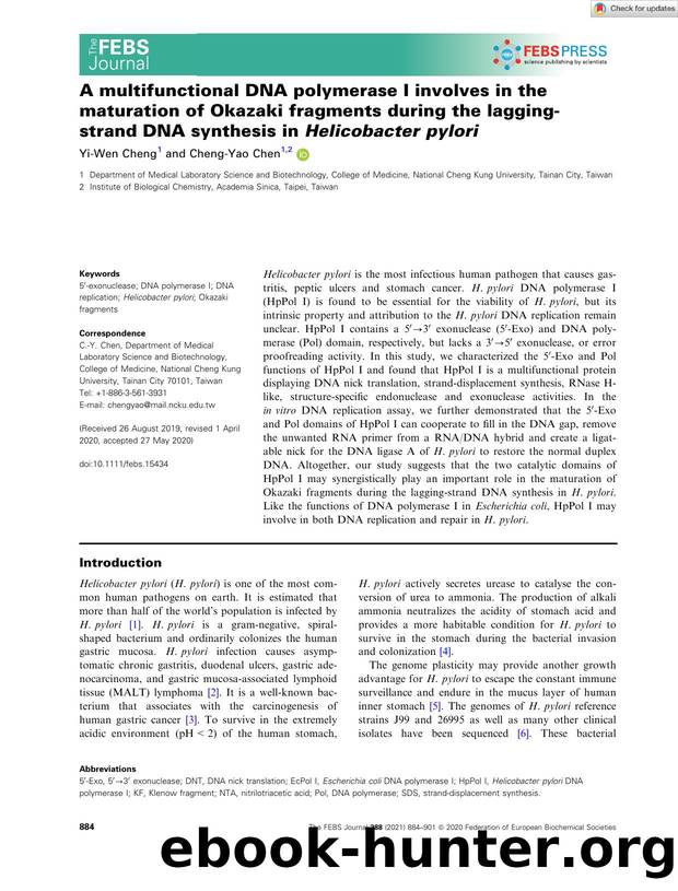 A multifunctional DNA polymerase I involves in the maturation of Okazaki fragments during the laggingâstrand DNA synthesis in HelicobacterÂ pylori by Unknown