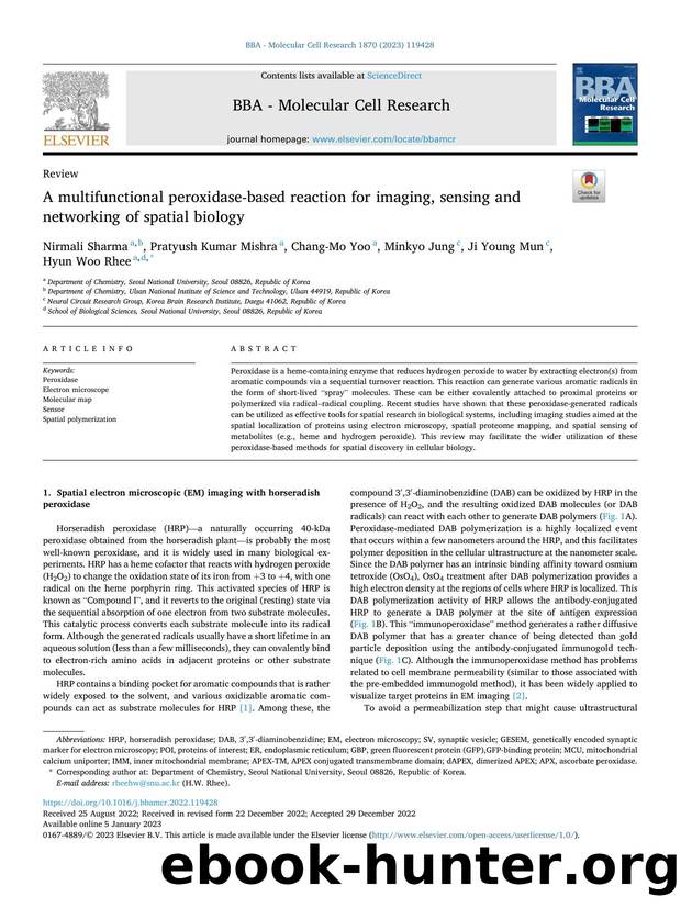 A multifunctional peroxidase-based reaction for imaging, sensing and networking of spatial biology by Nirmali Sharma & Pratyush Kumar Mishra & Chang-Mo Yoo & Minkyo Jung & Ji Young Mun & Hyun Woo Rhee