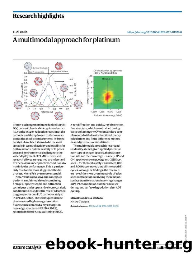 A multimodal approach for platinum by Marçal Capdevila-Cortada