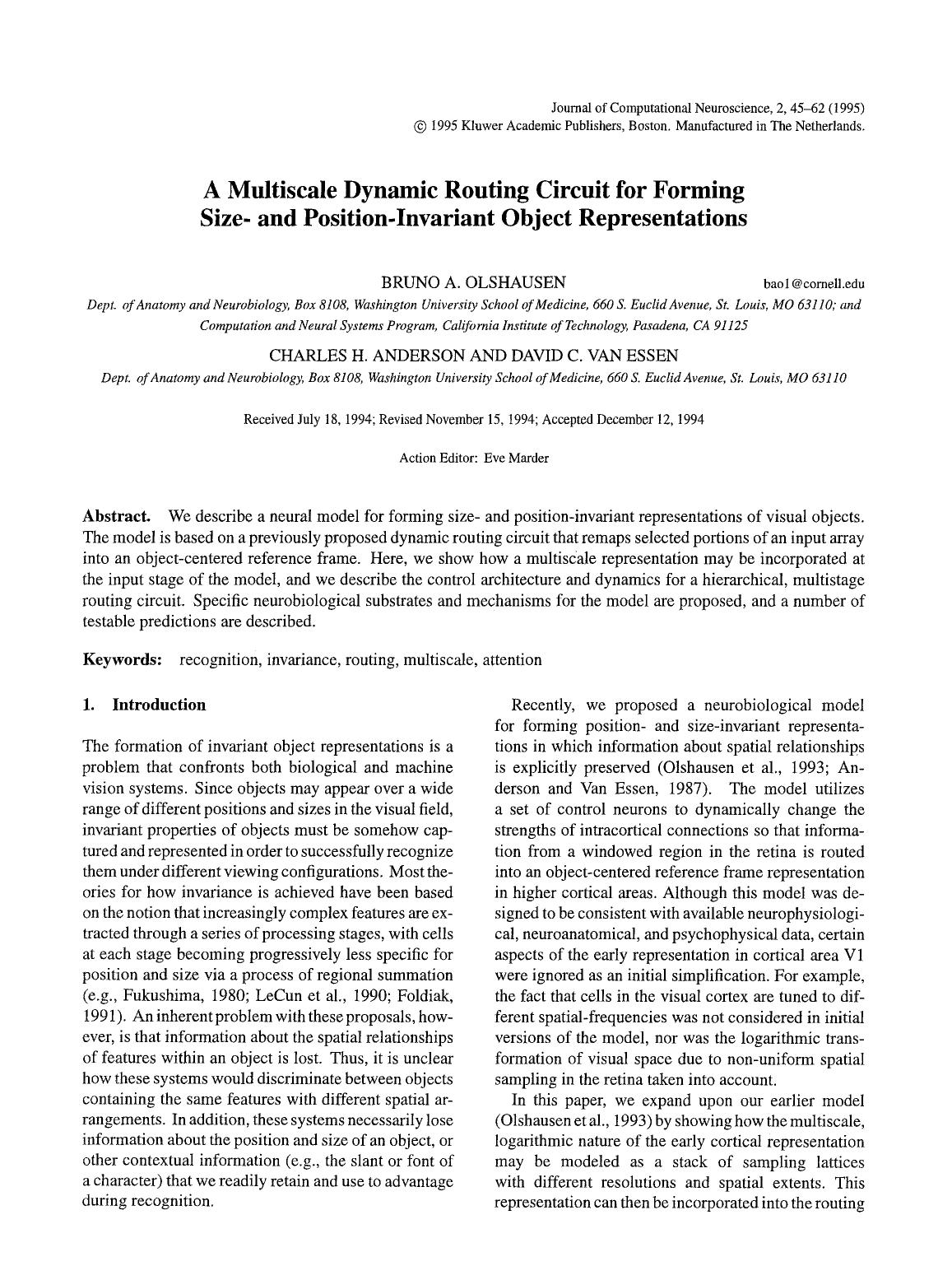 A multiscale dynamic routing circuit for forming size- and position-invariant object representations by Unknown