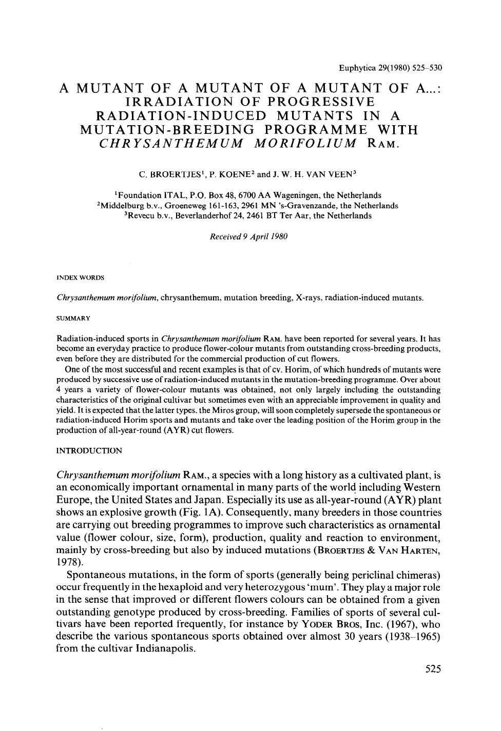 A mutant of a mutant of a mutant of a...: Irradiation of progressive radiation-induced mutants in a mutation-breeding programme with <Emphasis Type="Italic">Chrysanthemum morifoli by Unknown