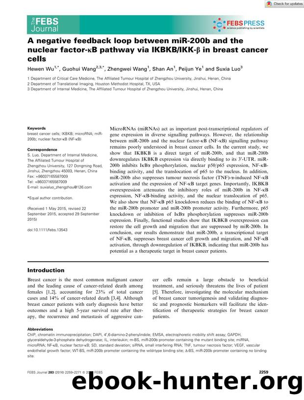 A negative feedback loop between miRâ200b and the nuclear factorâÎºB pathway via IKBKBIKKâÎ² in breast cancer cells by Unknown