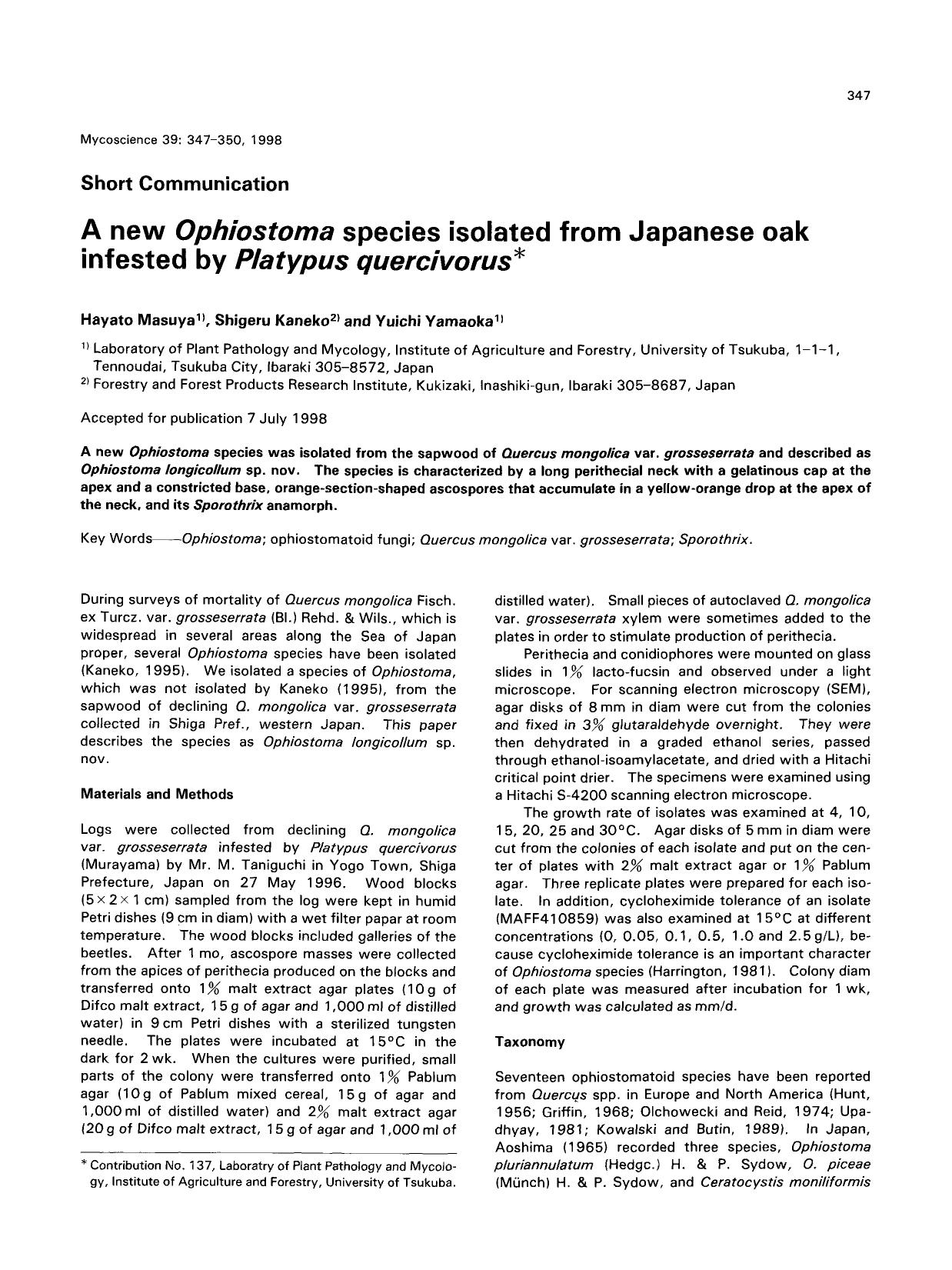 A new <Emphasis Type="Italic">Ophiostoma <Emphasis> species isolated from Japanese oak infested by <Emphasis Type="Italic">Platypus quercivorus <Emphasis> by Unknown
