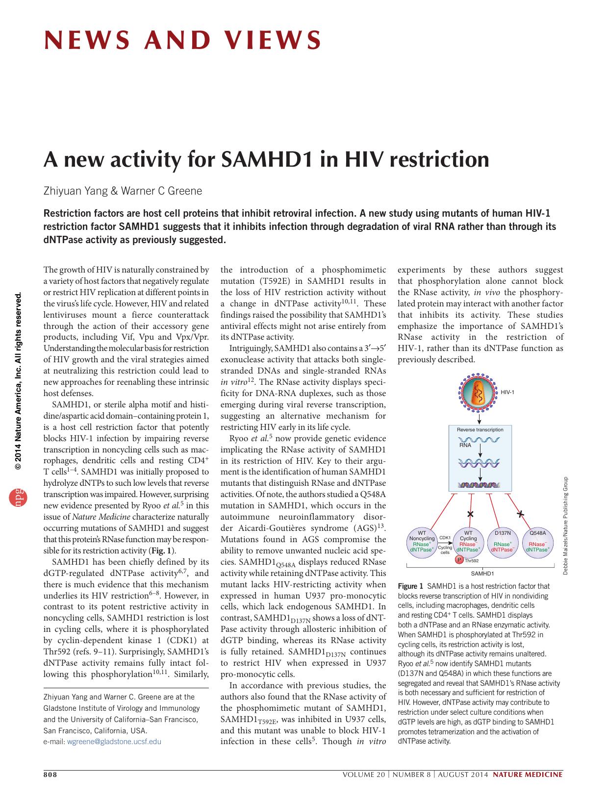 A new activity for SAMHD1 in HIV restriction by Zhiyuan Yang & Warner C Greene
