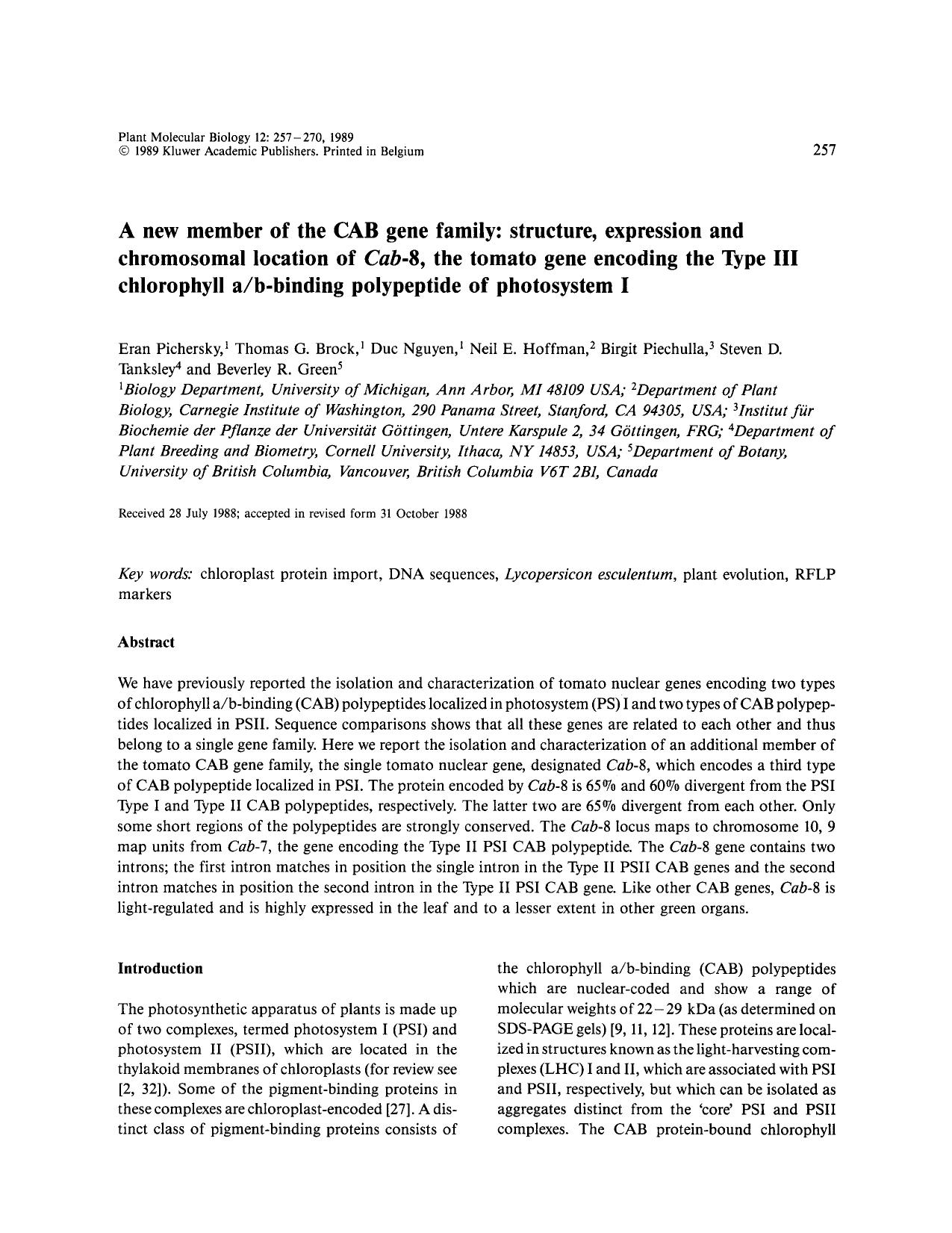 A new member of the CAB gene family: structure, expression and chromosomal location of <Emphasis Type="Italic">Cab<Emphasis>-8, the tomato gene encoding the Type III chlorophyll ab by Unknown