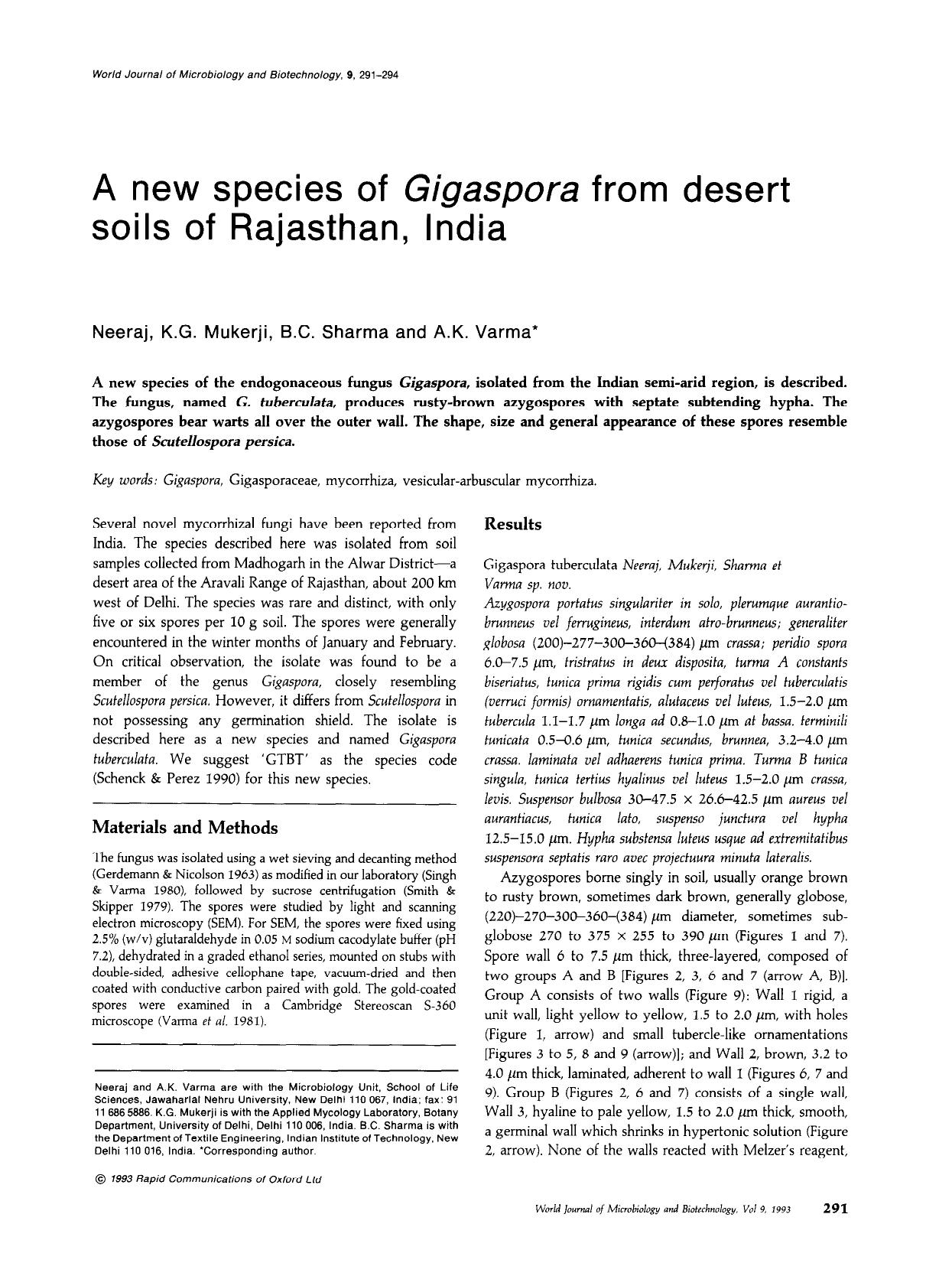 A new species of <Emphasis Type="Italic">Gigaspora<Emphasis> from desert soils of Rajasthan, India by Unknown
