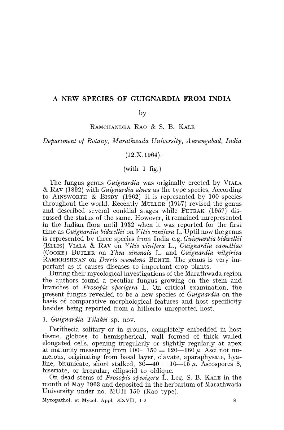 A new species of Guignardia from India by Unknown