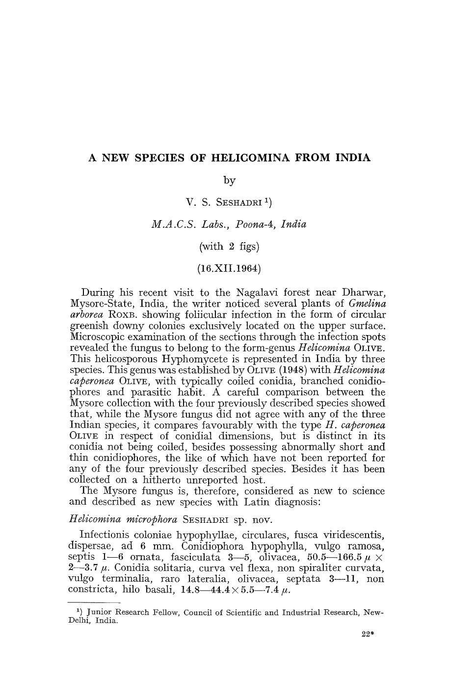 A new species of Helicomina from India by Unknown