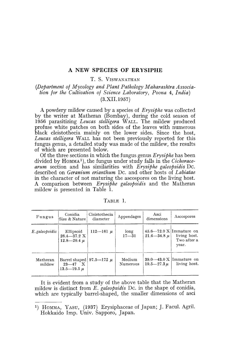 A new species of erysiphe by Unknown