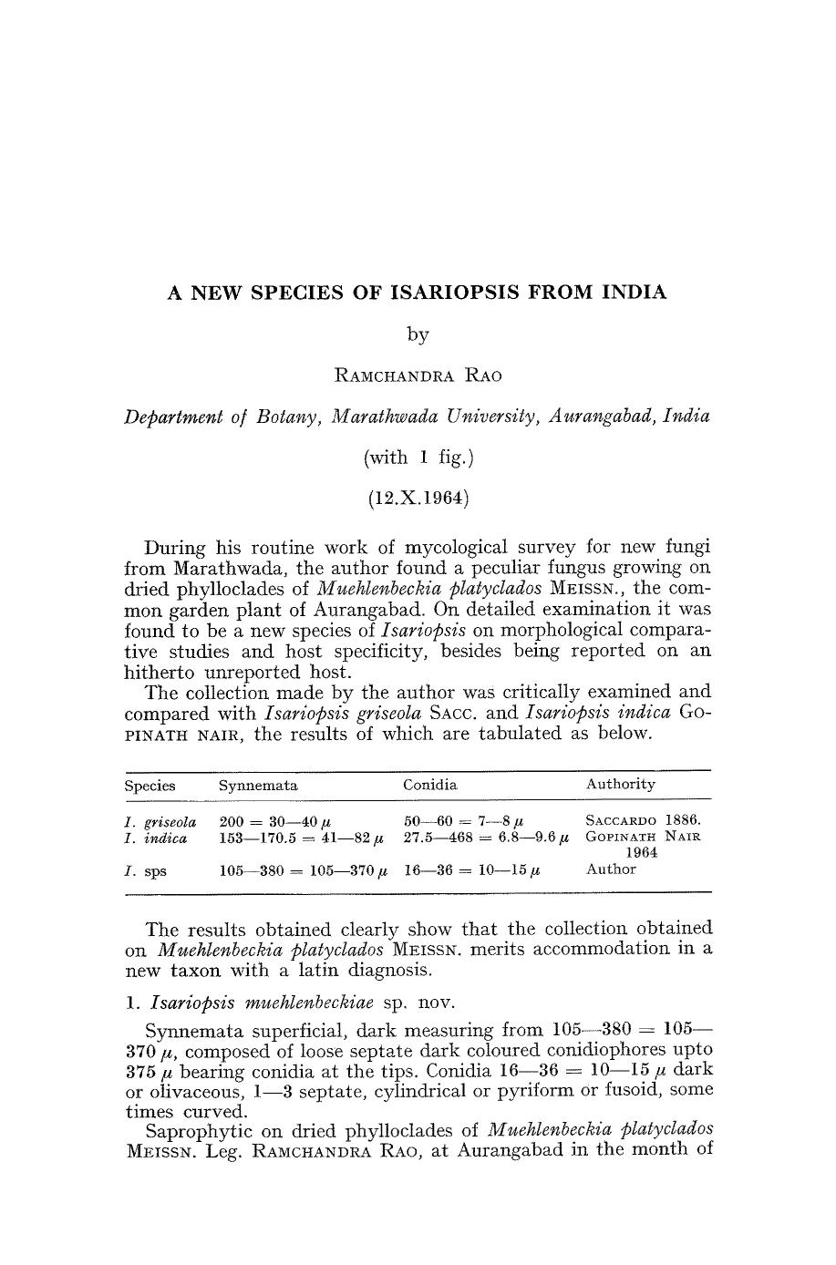 A new species of isariopsis from india by Unknown