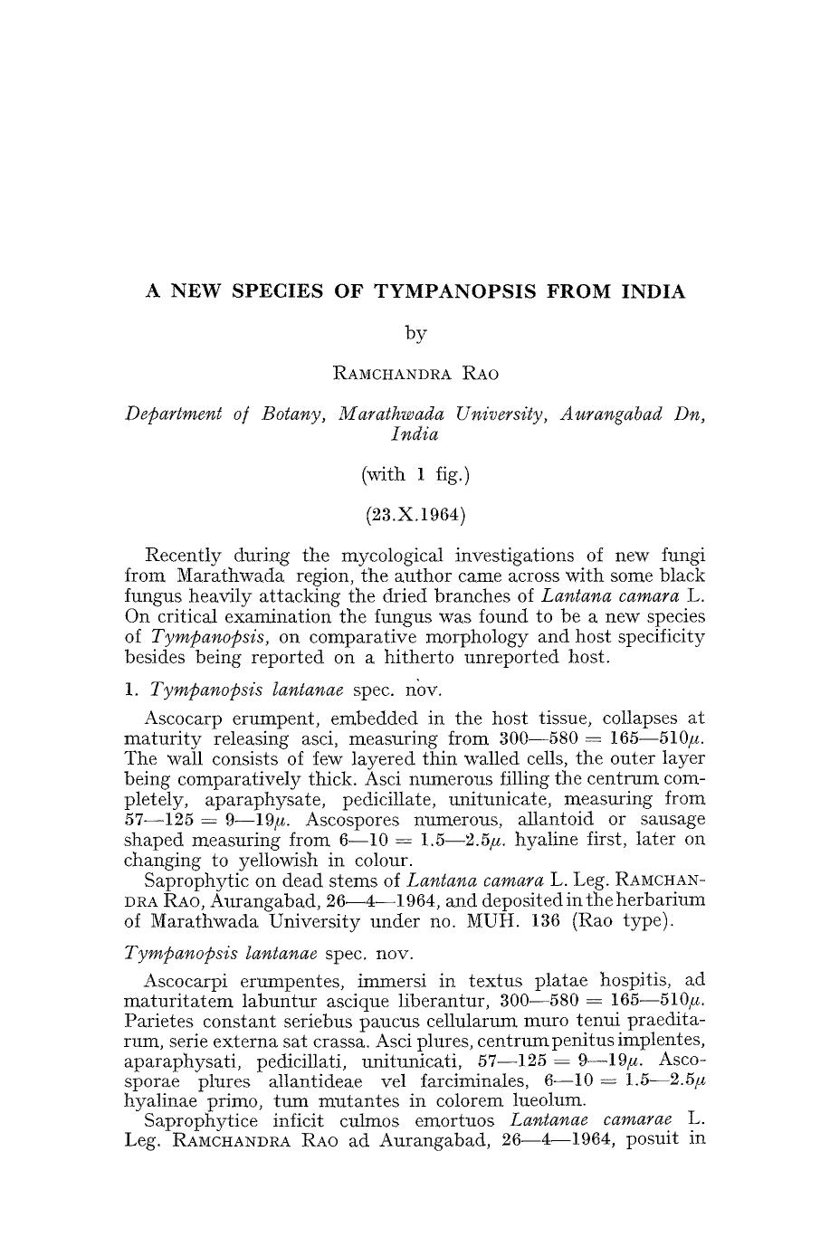 A new species of tympanopsis from India by Unknown
