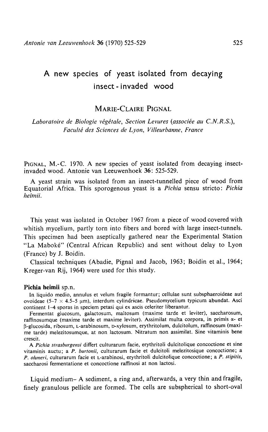 A new species of yeast isolated from decaying insect-invaded wood by Unknown