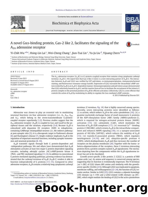 A novel GÎ±s-binding protein, Gas-2 like 2, facilitates the signaling of the A2A adenosine receptor by Yi-Chih Wu & Hsing-Lin Lai & Wei-Cheng Chang & Jiun-Tsai Lin & Yu-Ju Liu & Yijuang Chern