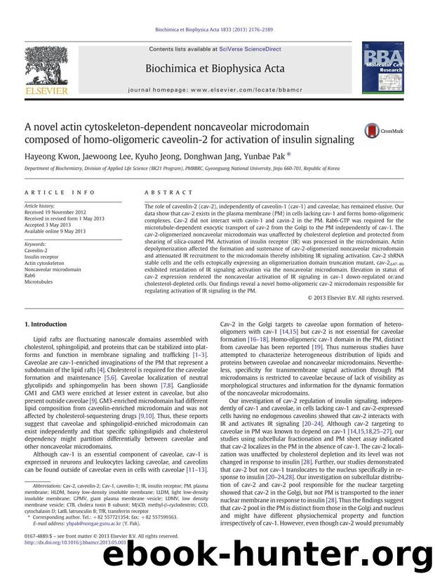 A novel actin cytoskeleton-dependent noncaveolar microdomain composed of homo-oligomeric caveolin-2 for activation of insulin signaling by Hayeong Kwon & Jaewoong Lee & Kyuho Jeong & Donghwan Jang & Yunbae Pak
