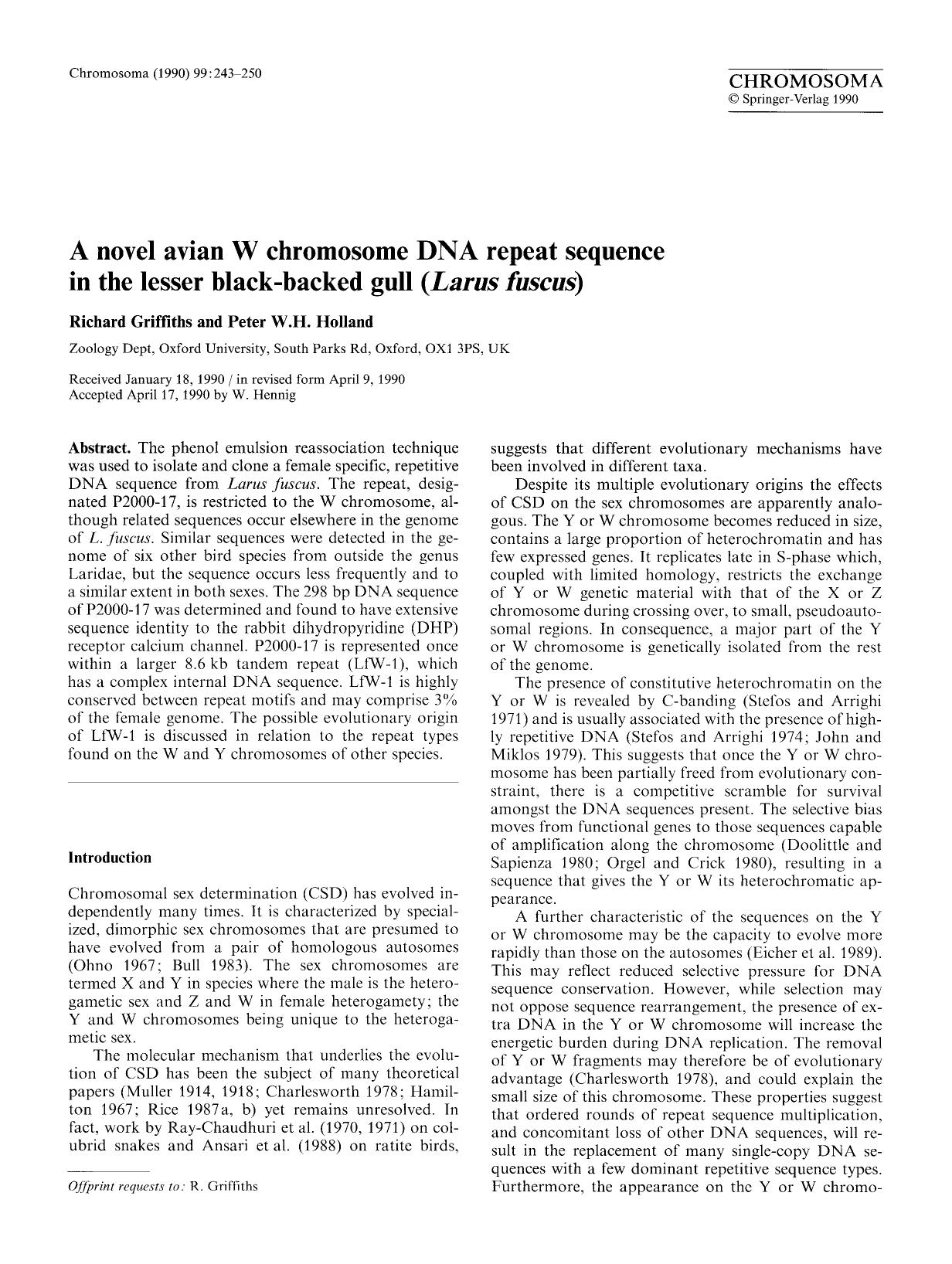 A novel avian W chromosome DNA repeat sequence in the lesser black-backed gull ( <Emphasis Type="Italic">Larus fuscus <Emphasis>) by Unknown