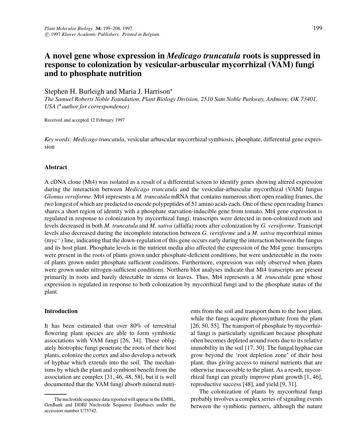 A novel gene whose expression in Medicago truncatula roots is suppressed in response to colonization by vesicular-arbuscular mycorrhizal (VAM) fungi and to phosphate nutrition by Unknown