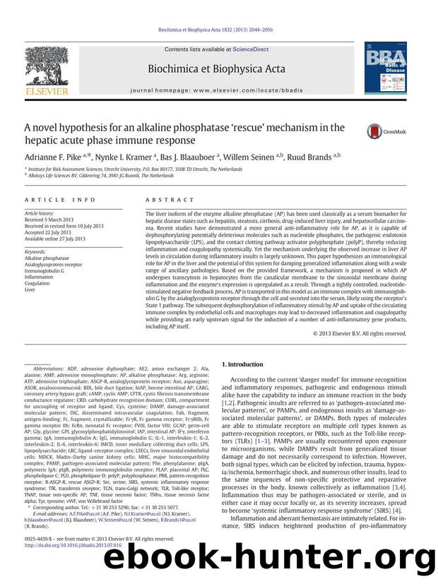 A novel hypothesis for an alkaline phosphatase ârescueâ mechanism in the hepatic acute phase immune response by Adrianne F. Pike & Nynke I. Kramer & Bas J. Blaauboer & Willem Seinen & Ruud Brands