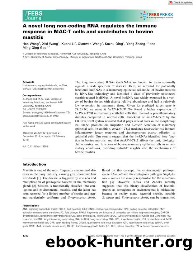 A novel long nonâcoding RNA regulates the immune response in MACâT cells and contributes to bovine mastitis by Unknown