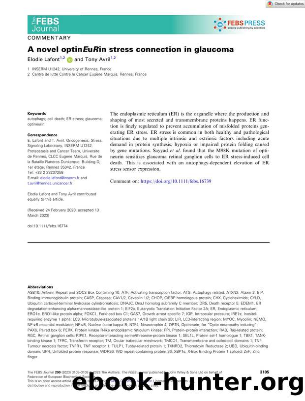 A novel optinEuRin stress connection in glaucoma by Unknown