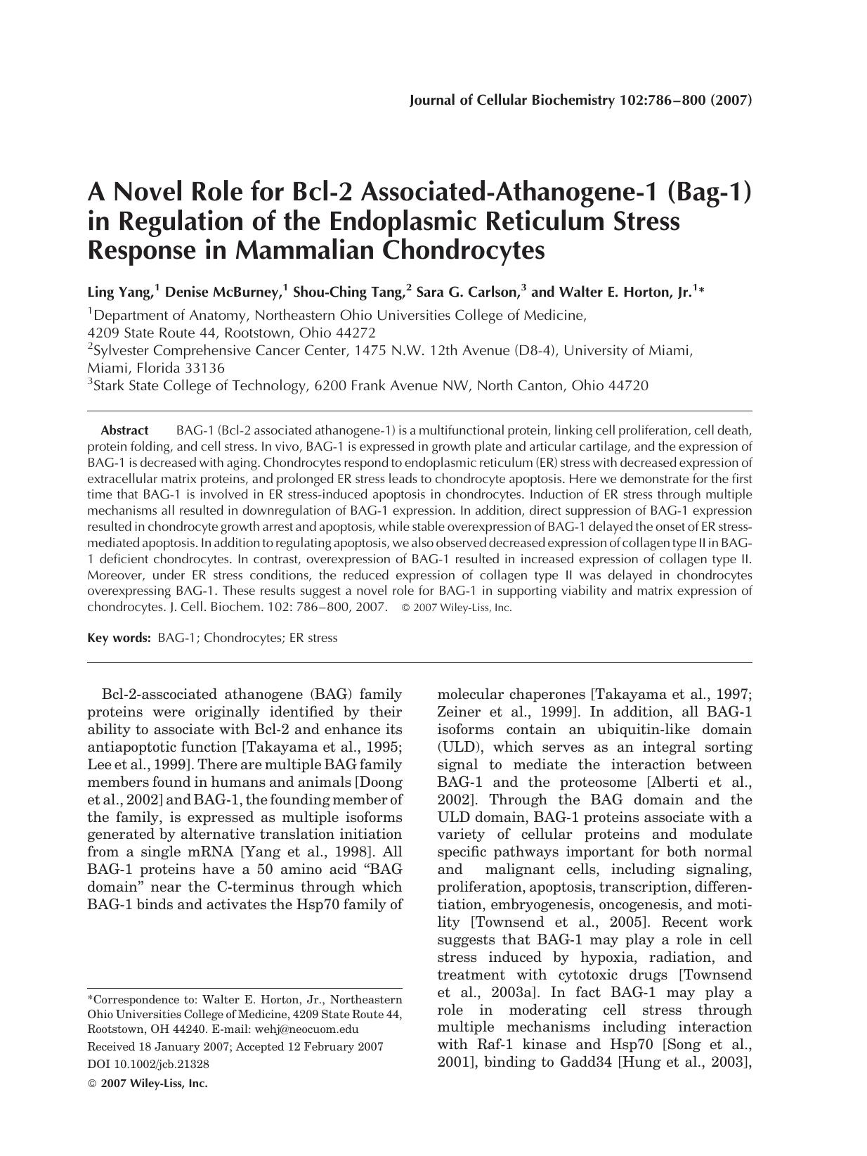 A novel role for Bcl-2 associated-athanogene-1 (Bag-1) in regulation of the endoplasmic reticulum stress response in mammalian chondrocytes by Unknown