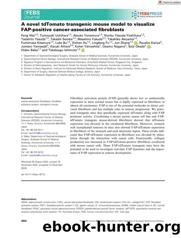 A novel tdTomato transgenic mouse model to visualize FAPâpositive cancerâassociated fibroblasts by Unknown