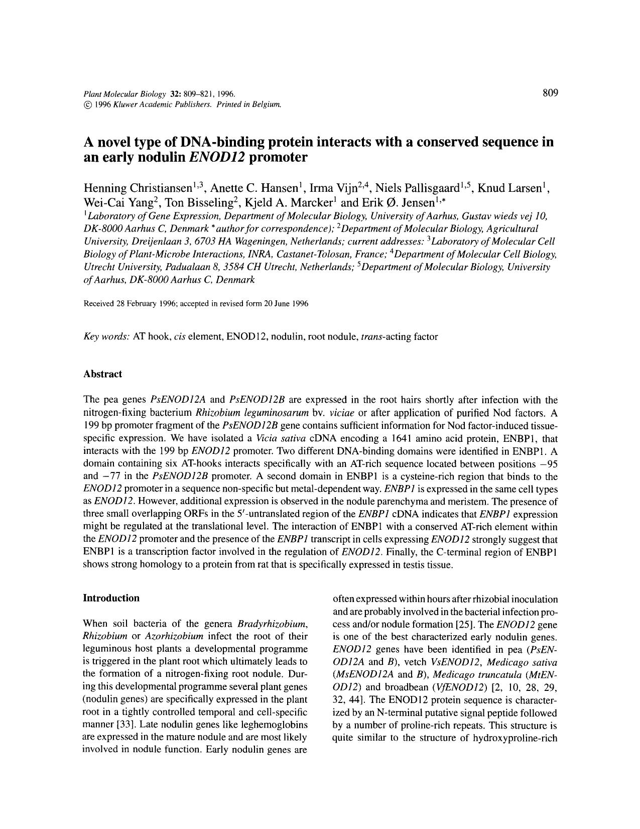 A novel type of DNA-binding protein interacts with a conserved sequence in an early nodulin <Emphasis Type="Italic">ENOD12<Emphasis> promoter by Unknown