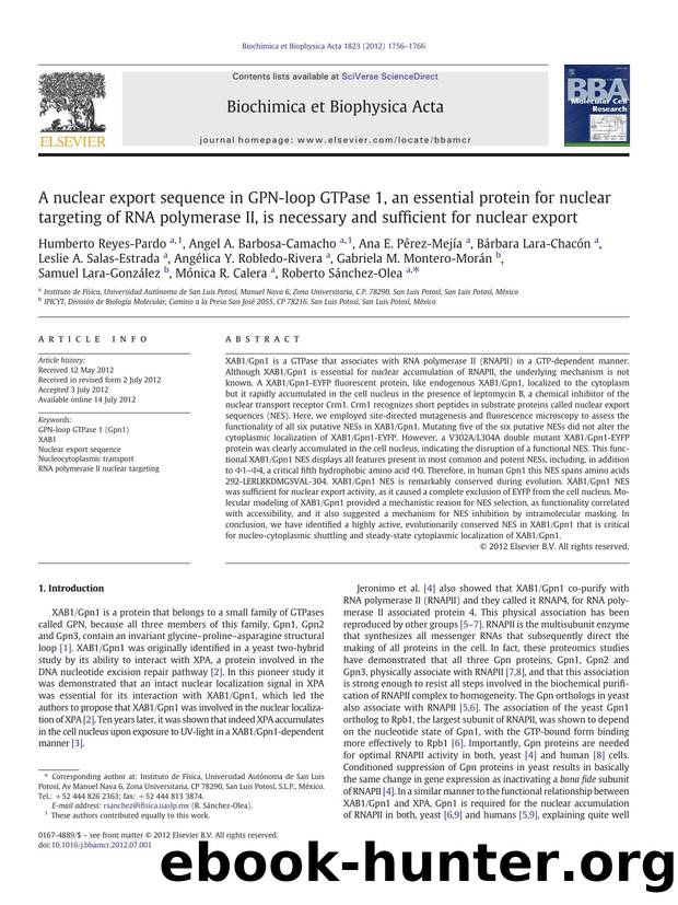 A nuclear export sequence in GPN-loop GTPase 1, an essential protein for nuclear targeting of RNA polymerase II, is necessary and sufficient for nuclear export by unknow