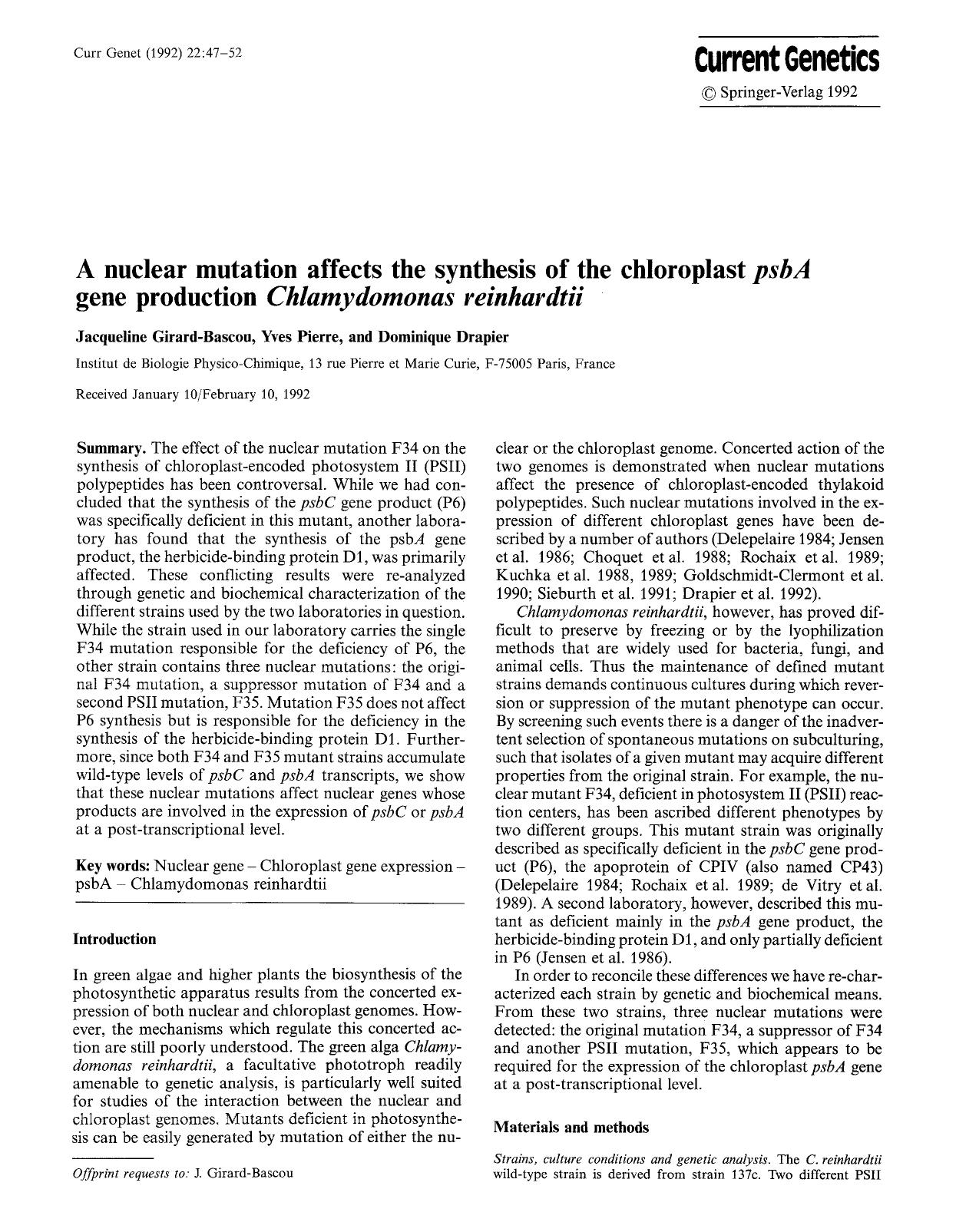 A nuclear mutation affects the synthesis of the chloroplast <Emphasis Type="Italic">psbA<Emphasis> gene production <Emphasis Type="Italic">Chlamydomonas reinhardtii<Emphasis> by Unknown
