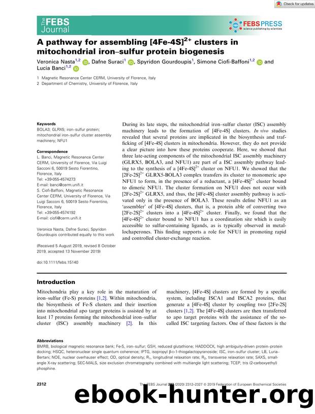 A pathway for assembling [4Feâ4S]2+ clusters in mitochondrial ironâsulfur protein biogenesis by Unknown