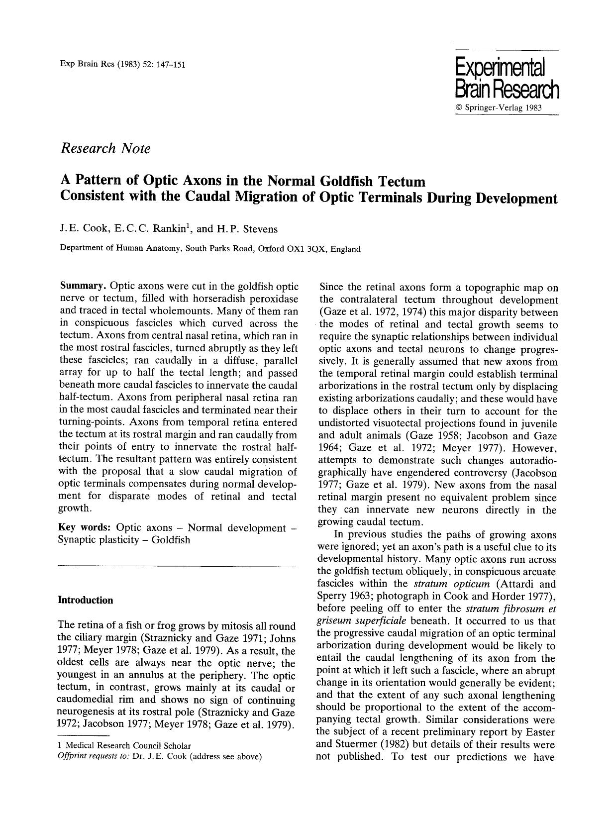 A pattern of optic axons in the normal goldfish tectum consistent with the caudal migration of optic terminals during development by Unknown