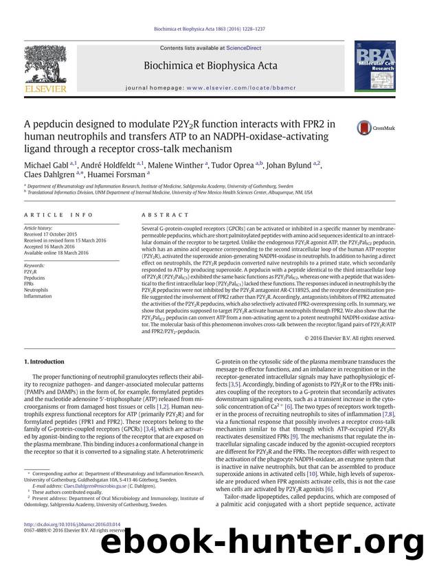 A pepducin designed to modulate P2Y2R function interacts with FPR2 in human neutrophils and transfers ATP to an NADPH-oxidase-activating ligand through a receptor cross-talk mechanism by unknow