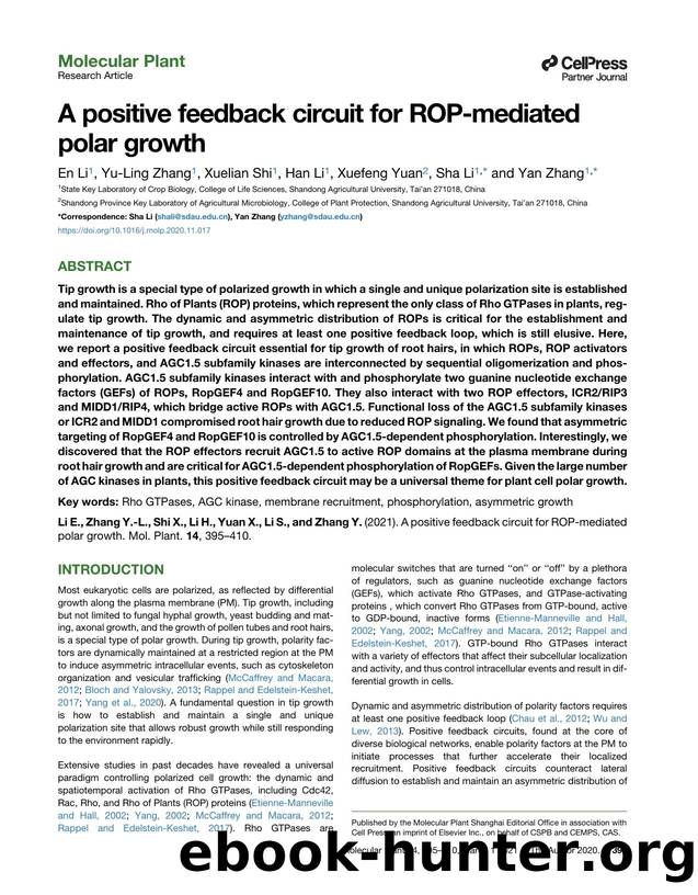 A positive feedback circuit for ROP-mediated polar growth by En Li & Yu-Ling Zhang & Xuelian Shi & Han Li & Xuefeng Yuan & Sha Li & Yan Zhang